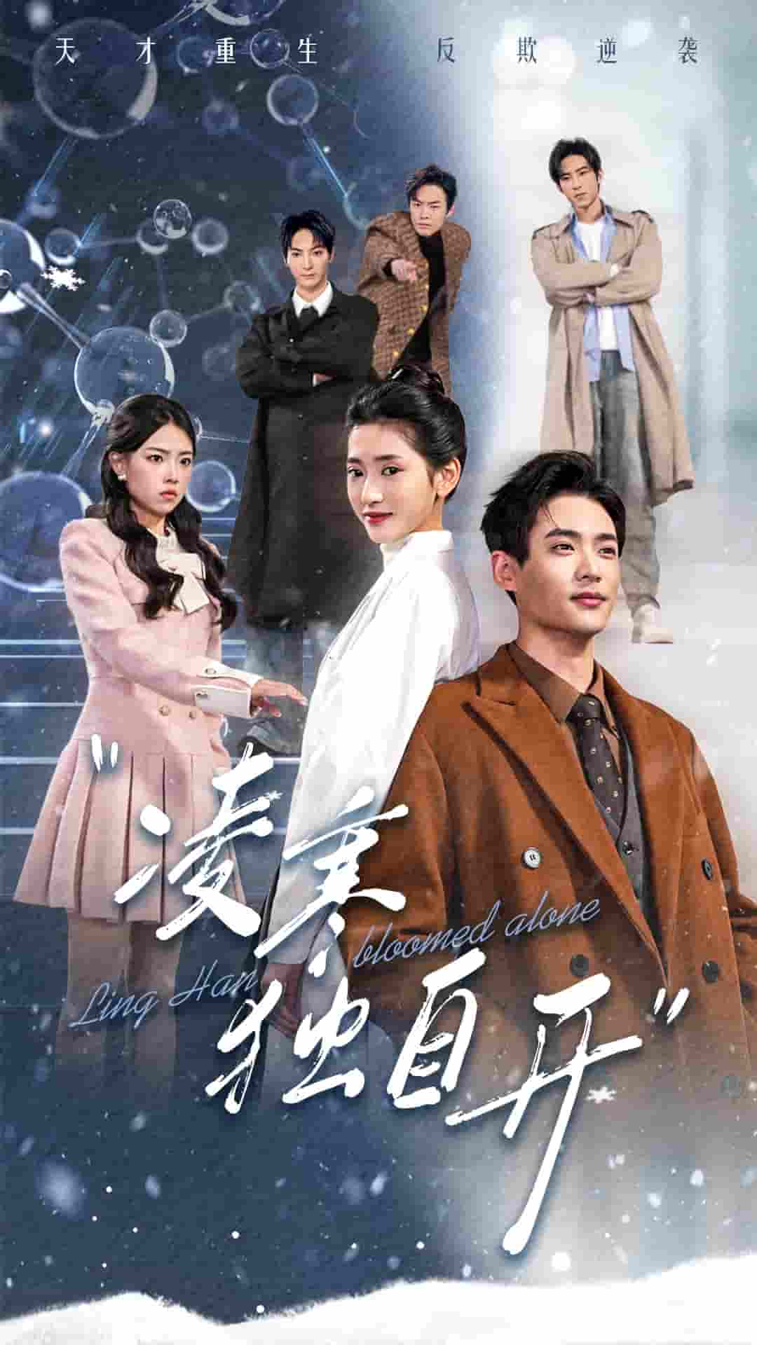 凌寒獨(dú)自開(kāi)(全集)