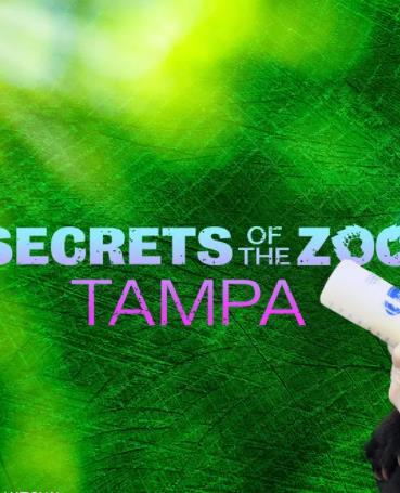 動物園秘辛：坦帕灣第四季(全集)