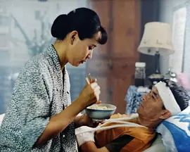 無(wú)言的旅程(全集)