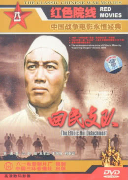 回民支隊(全集)